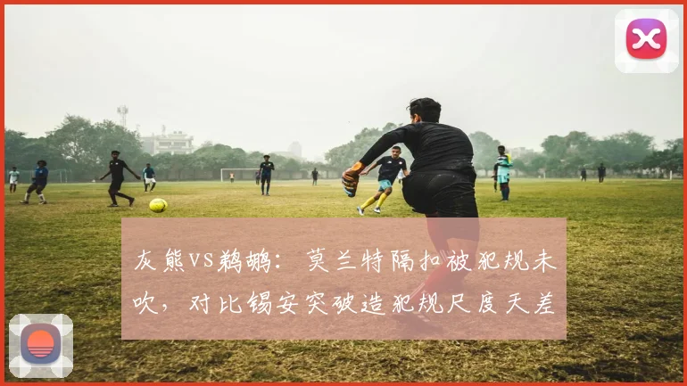 灰熊vs鹈鹕:莫兰特隔扣被犯规未吹,对比锡安突破造犯规尺度天差地别
